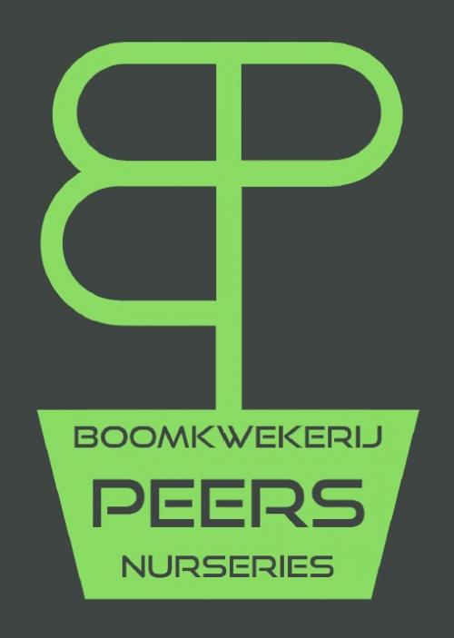 Logo peers kleur v2.jpg