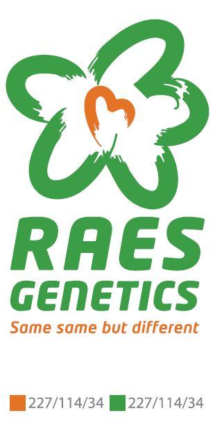 Raes Rudy logo2