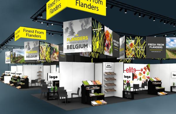 Flandern in neuem Outfit auf der Fruit Logistica 2025 (Halle 27 – Stand A 50)